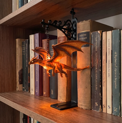DRAGON BOOK NOOK